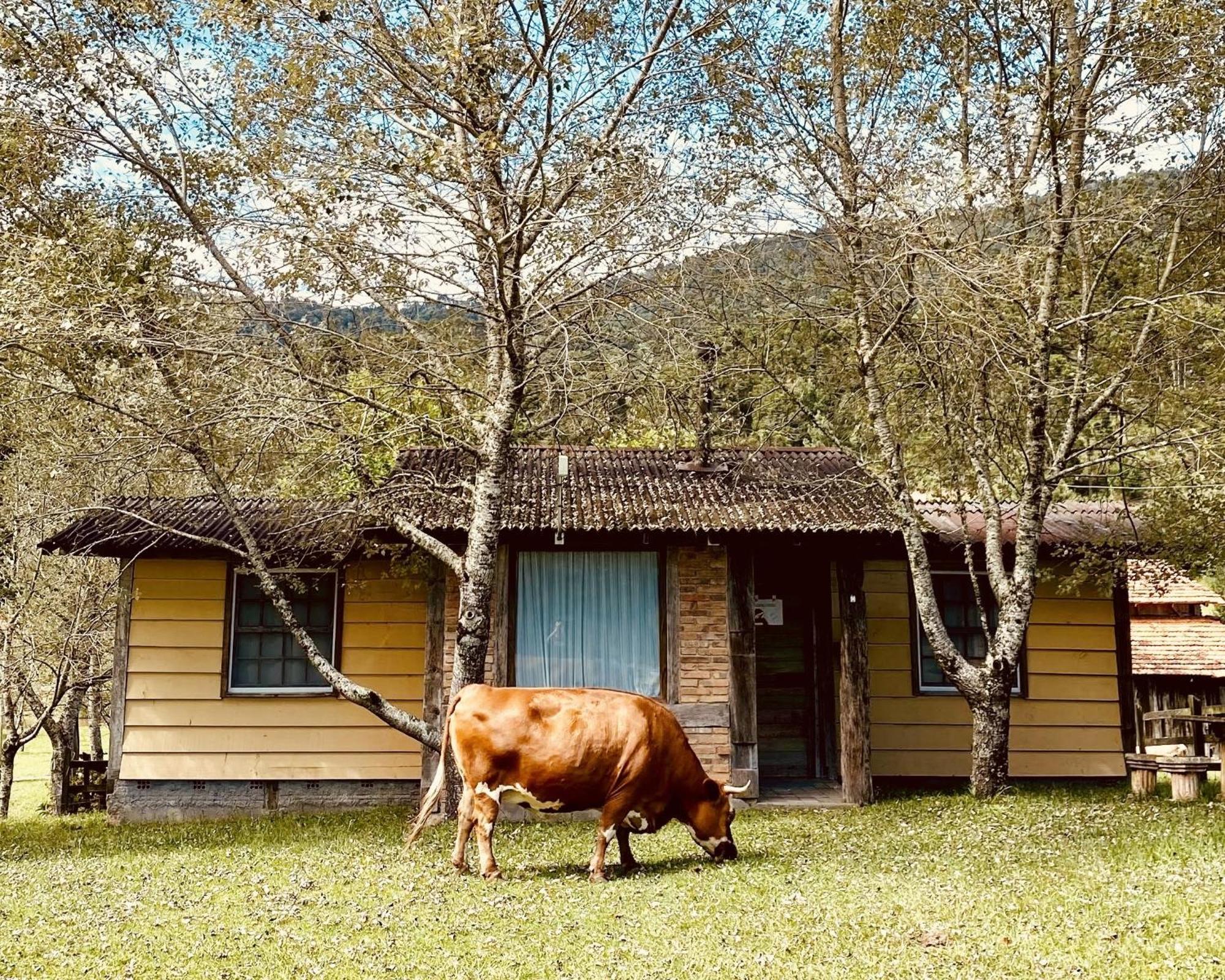 Estalagem Santo Antonio Otel Urubici Dış mekan fotoğraf